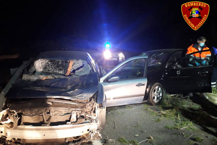 Varios heridos por la caída de pinos en la N-232, junto al desvío de Pina