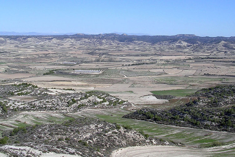 Estepas de Monegros podría ser el primer secarral de Europa en convertirse en parque nacional