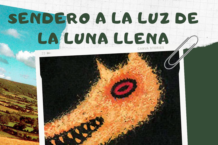 Sendero por Pina a la luz de la luna