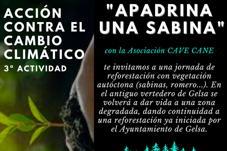 Este sábado, apadrina una sabina con la asociación Cave Cane