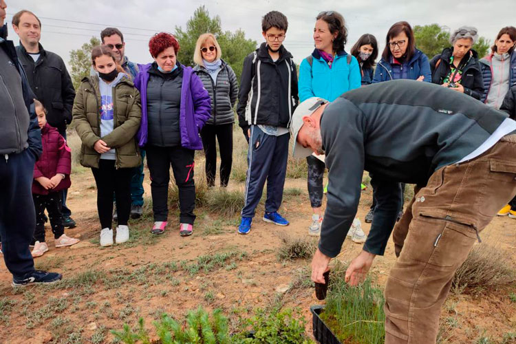 El Banco de Sangre y Tejidos de Aragón planta 2500 árboles en Rueda como homenaje a los donantes de aféresis