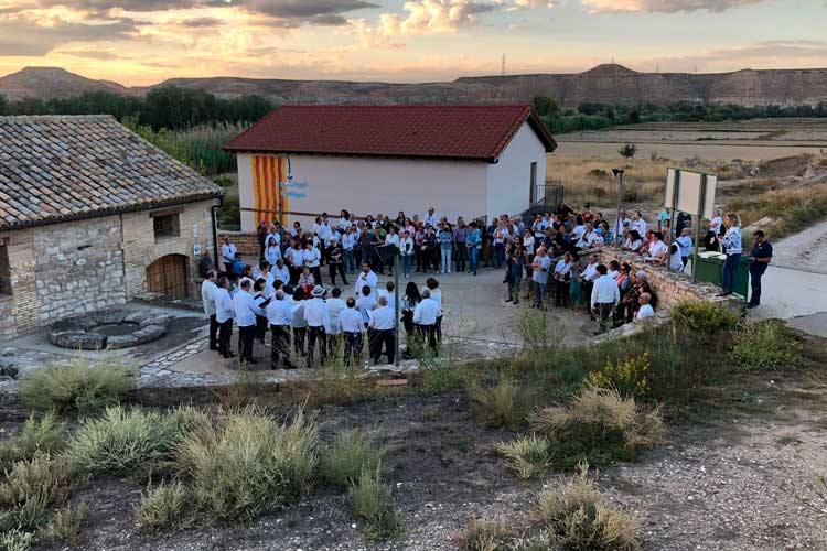 Una tarde ‘buscando corales’ en La Zaida