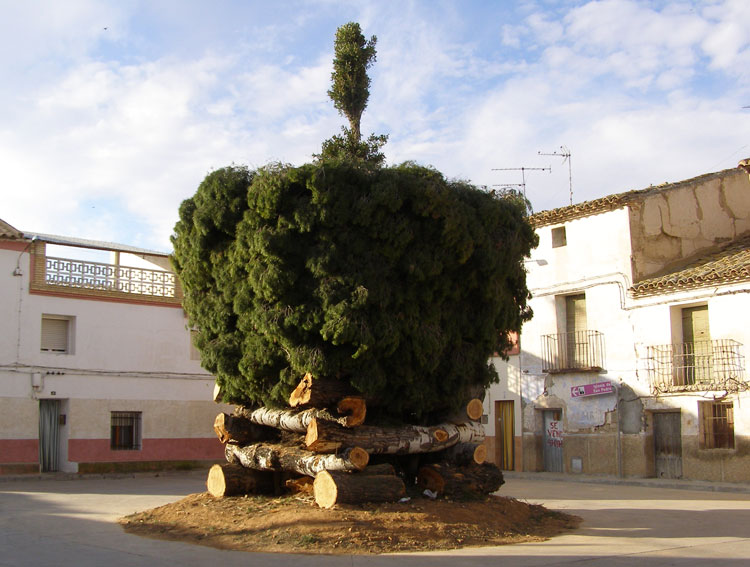 Una gamberrada prende la hoguera de Alforque tres semanas antes de lo previsto