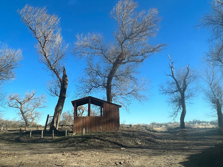 Finaliza la actuación de limpieza en la ribera del Ebro