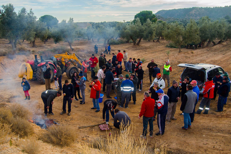 Recogida de leña en Escatrón para las hogueras