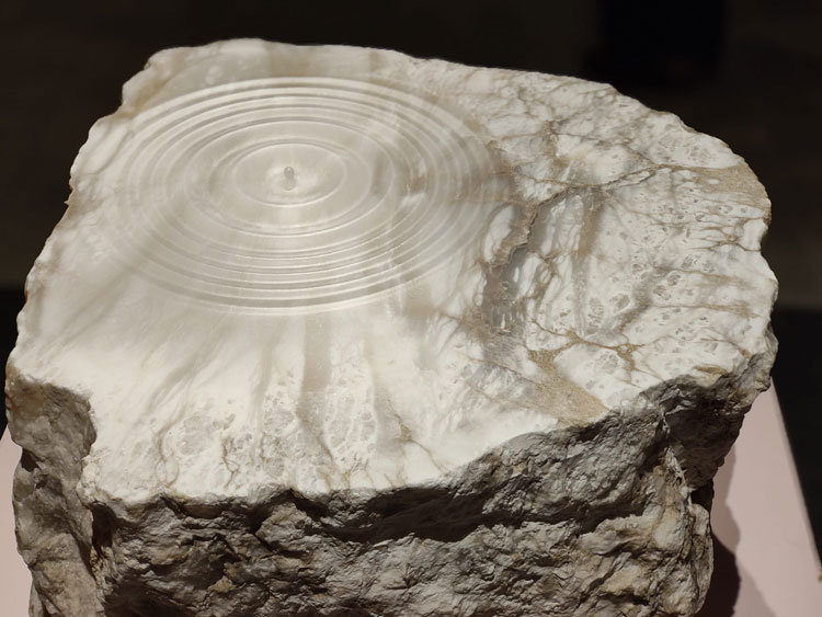 Viaje cultural para ver la exposición ‘Aqua Fossil’, de Amarist