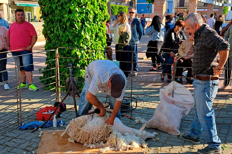 La Asociación Farlé de Pina volverá a celebrar San Isidro