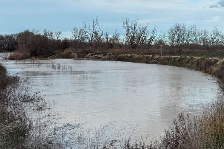 La Ribera Baja vive con inquietud la crecida ordinaria del Ebro ante una punta prolongada de hasta 1.600 m³/s