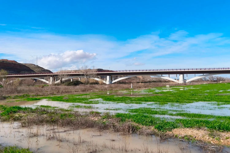 La crecida del Ebro alcanza los 1.600 m³/s en la Ribera Baja y las motas resisten sin incidencias